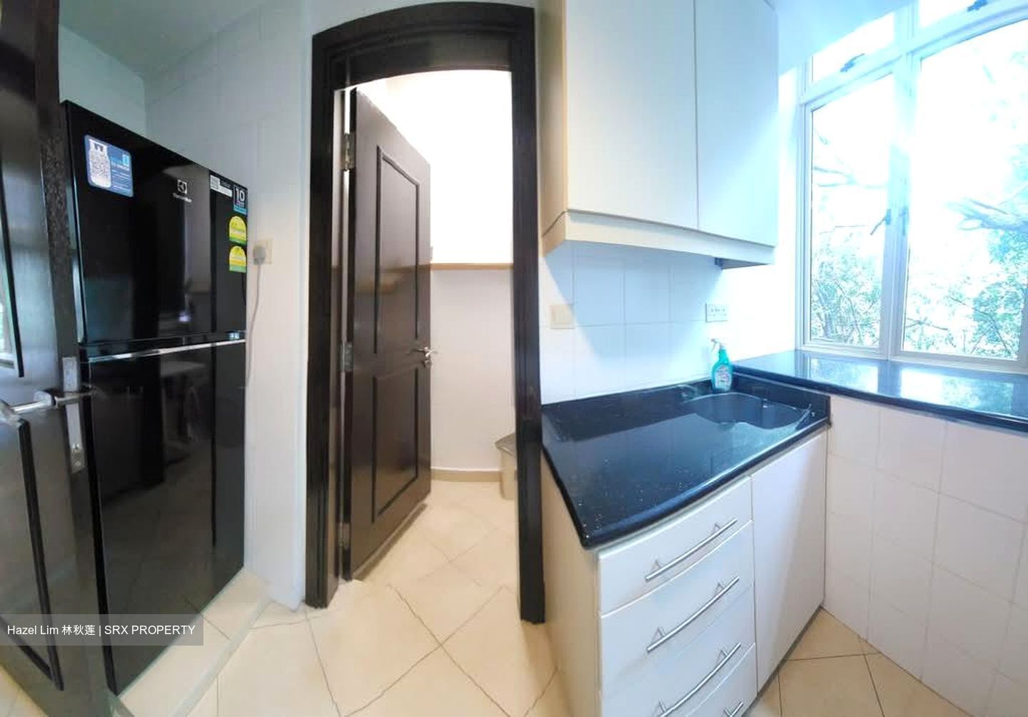 Jervois Regency (D10), Apartment #602885811